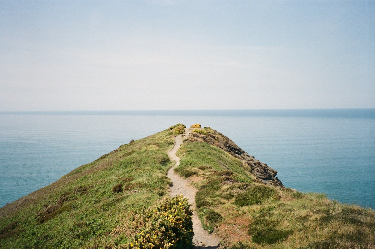 Path leading to a grassy hilltop with a clear blue sky and ocean in the background