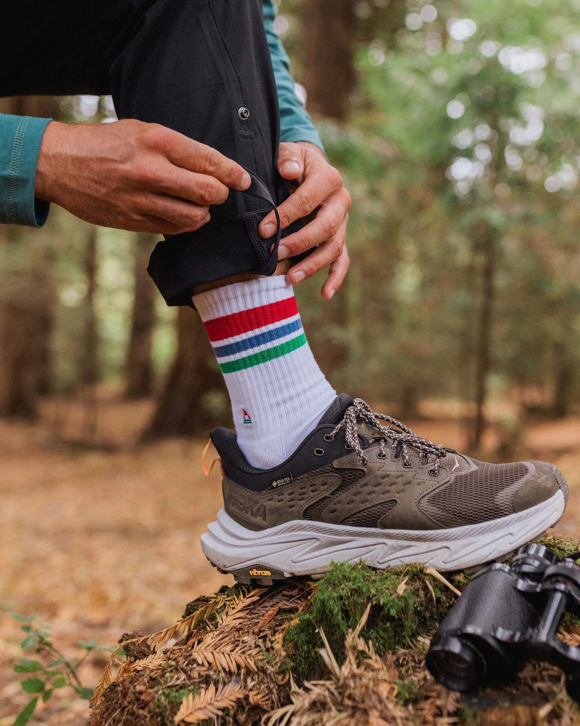 Organic Midweight Crew Socks - White/Greenlake - Lifestyle - Male