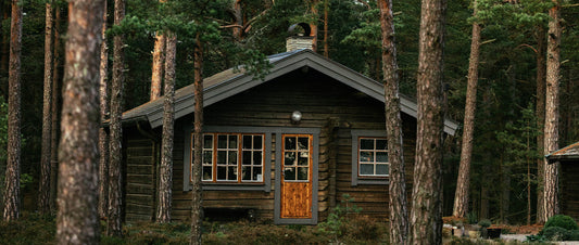 A cabin in a pine woods