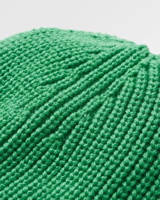 Compass Recycled Beanie - Green Spruce